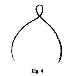 fig.4