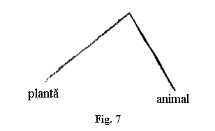fig.7