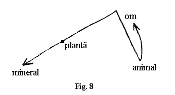 fig.8