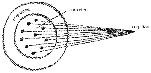 fig.8