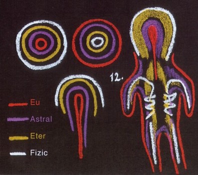 figura 12