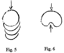 fig.5; fig.6