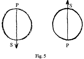 fig.5